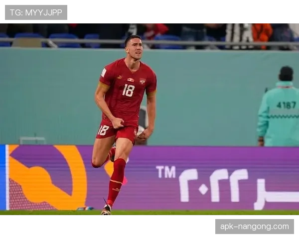 弗拉霍维奇：塞尔维亚国家队头号射手的角色解析